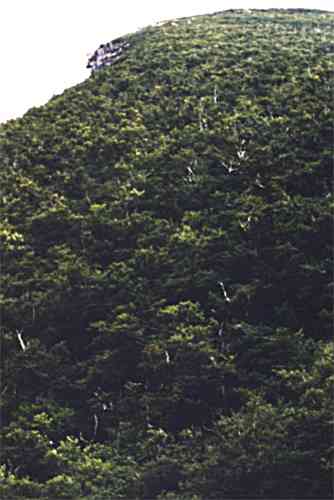 Old Man of the Mountain