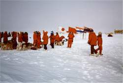 South Pole is going to the dogs