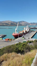 Ocean Giant in Lyttelton