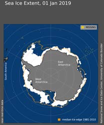 1 January sea ice map