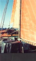 those orange sails