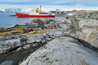 far from the war Noosfera at Palmer